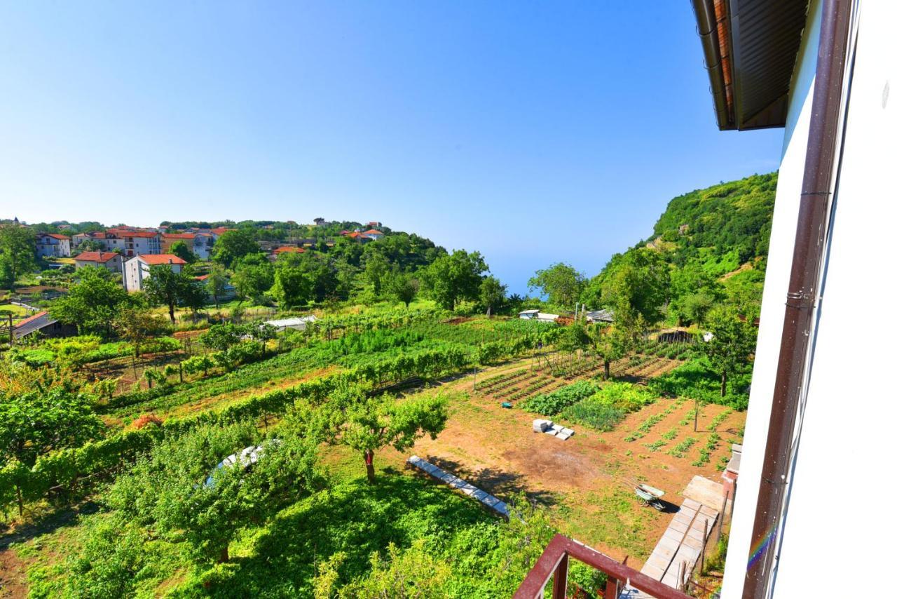 La Terrazza Sugli Dei Apartment Pianillo Exterior photo