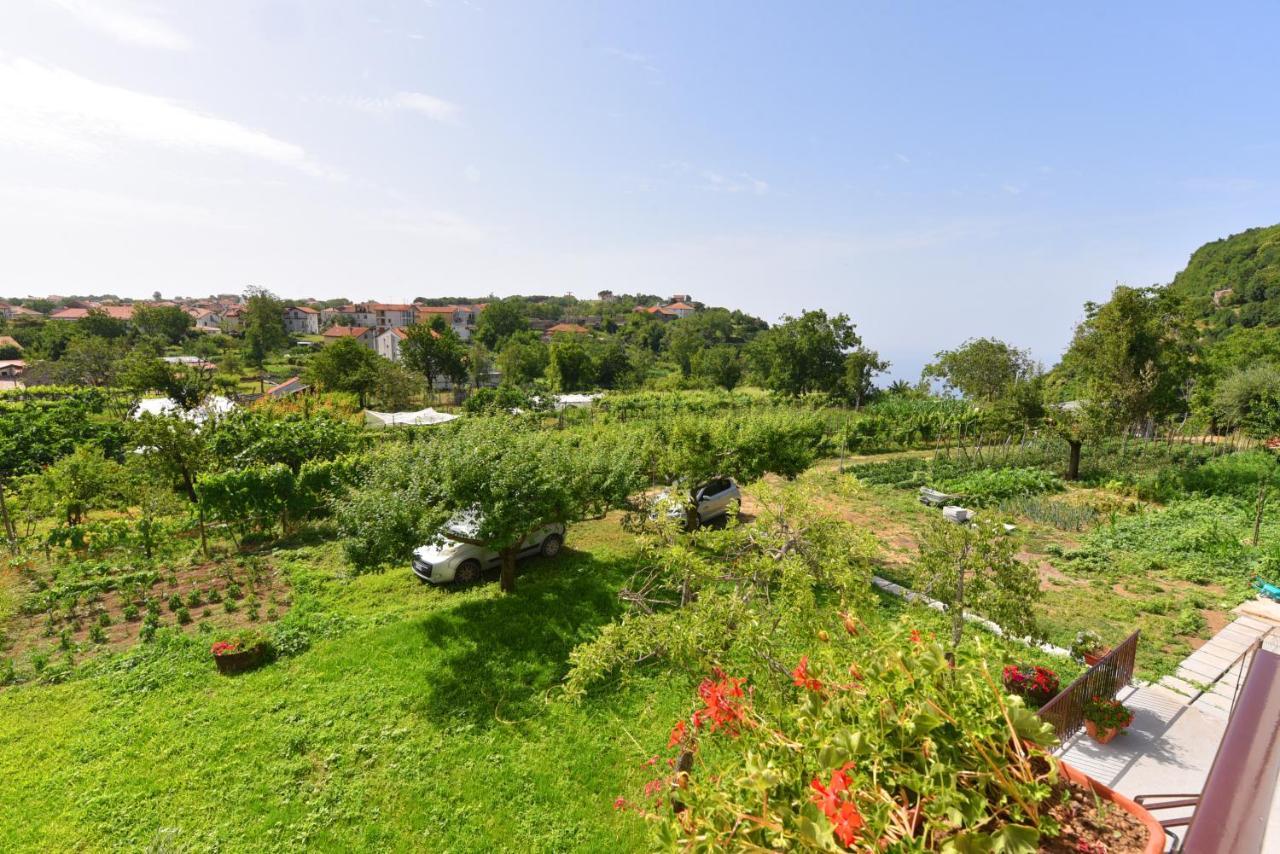 La Terrazza Sugli Dei Apartment Pianillo Exterior photo